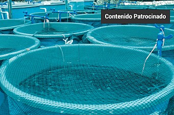 Tecnologías naturales para mantener una acuicultura sana y con agua de calidad