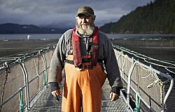 Temen pérdidas de empleo en la industria del salmón canadiense