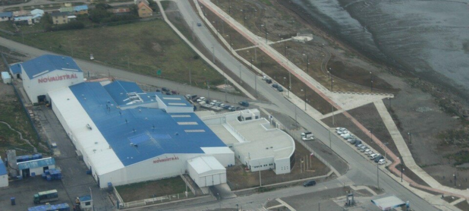 Tribunal de Porvenir declara la quiebra de Nova Austral