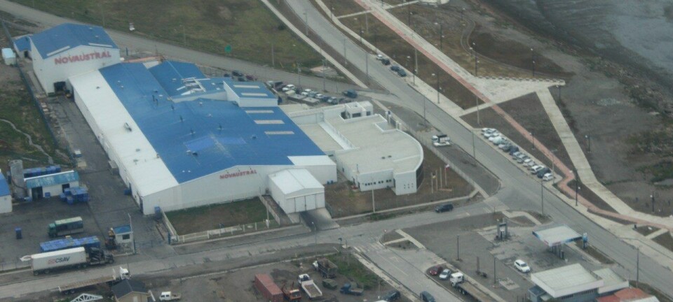 Nova Austral registra un nuevo avance: ahora se vuelca a los números azules