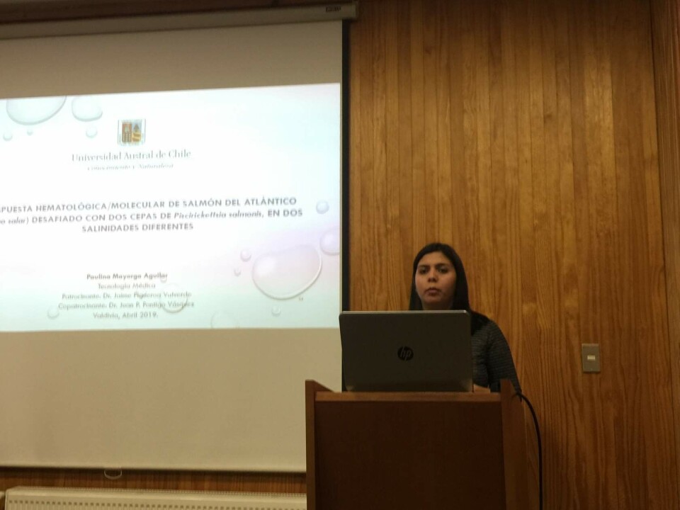 Paulina Mayorga desarrolló tesis para evaluar patología de P. Salmonis. Foto: Centro Incar.