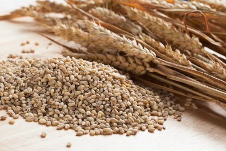 Pearled Barley