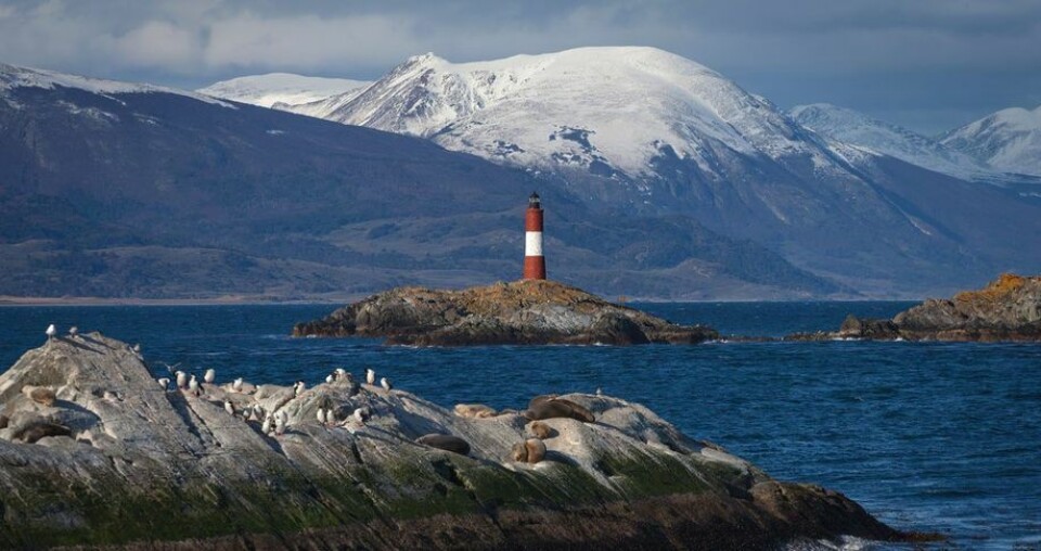 Foto referencial del canal Beagle. Imagen: Chile Travel.