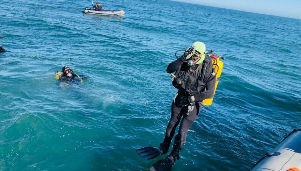 Cámara aprueba crear contrato en buceo y declara Día Nacional para esta actividad