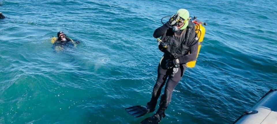 Cámara aprueba crear contrato en buceo y declara Día Nacional para esta actividad