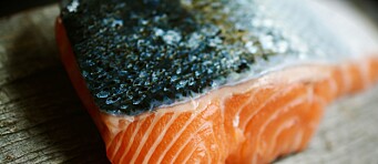 Exportaciones de salmón chileno ya sobrepasan la barrera de los US$4.000 millones