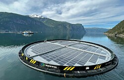 Salmonicultor prueba energía verde propia a partir de plantas de energía solar flotantes