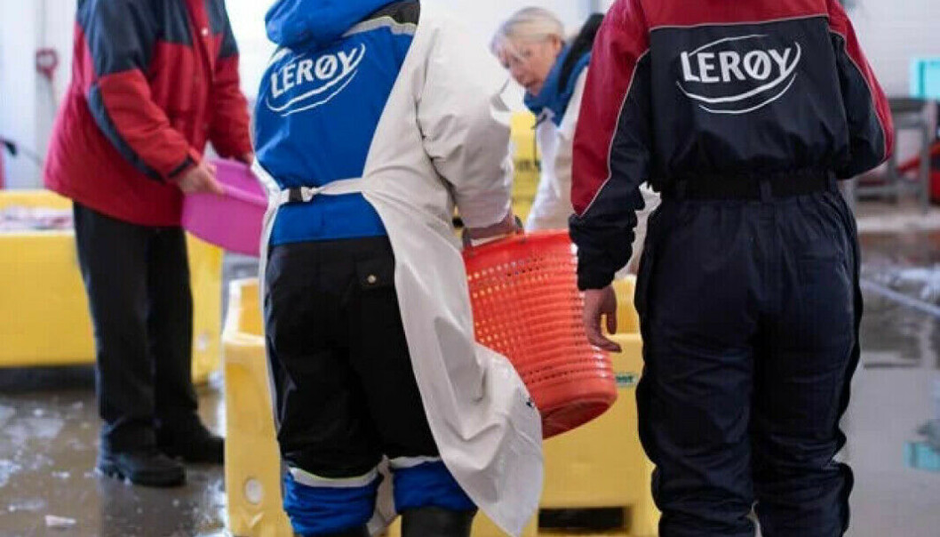 Según el informe a la Autoridad de Inspección Laboral de Noruega, parece que transcurrieron diez minutos desde que ocurrió el accidente hasta que el gerente descubrió accidentalmente que un empleado había resultado herido. Según el informe a la Autoridad de Inspección Laboral de Noruega, parece que transcurrieron diez minutos desde que ocurrió el accidente hasta que el gerente descubrió accidentalmente que un empleado había resultado herido.