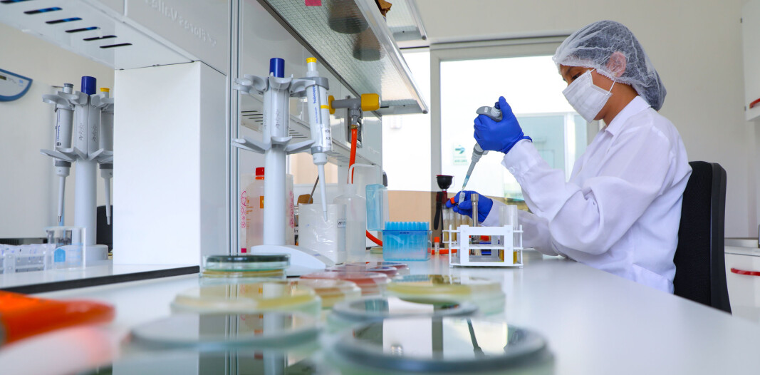 Múltiples empresas desarrollaron biotecnologías para resolver distintos desafíos de la industria. Vacunas, empaques y herramientas de monitoreo ambiental son algunas de estas. Múltiples empresas desarrollaron biotecnologías para resolver distintos desafíos de la industria. Vacunas, empaques y herramientas de monitoreo ambiental son algunas de estas.