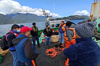 Autoridad Marítima investiga nuevo accidente en centro de cultivo de salmón