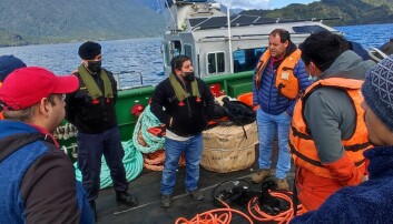 Autoridad Marítima investiga nuevo accidente en centro de cultivo de salmón