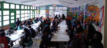 El salmón se incorpora al menú de los escolares de Aysén