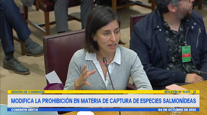 Javiera Calisto. Javiera Calisto.