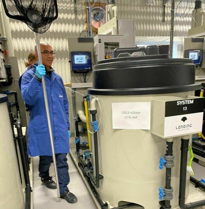 Los experimentos con sulfuro de hidrógeno de Carlo C. Lazado inauguraron la nueva infraestructura "one-pot-one-RAS" en Nofima en Sunndalsøra. Los experimentos con sulfuro de hidrógeno de Carlo C. Lazado inauguraron la nueva infraestructura "one-pot-one-RAS" en Nofima en Sunndalsøra.
