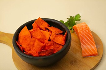 Startup chilena produce snacks saludables a partir de descartes de salmón