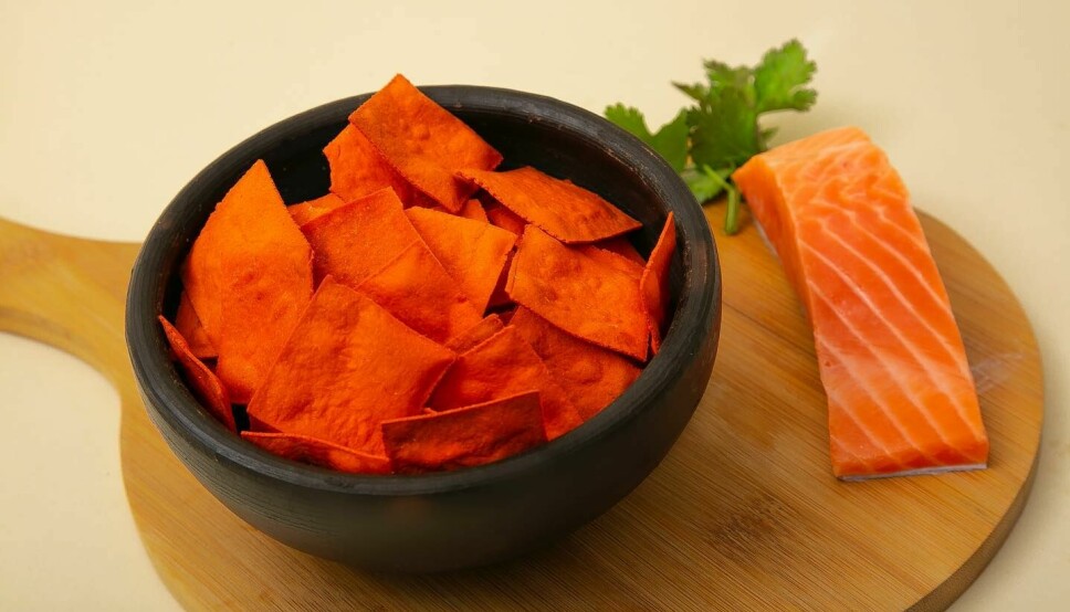 Esta es la presentación de los chips elaborados a partir de salmón.