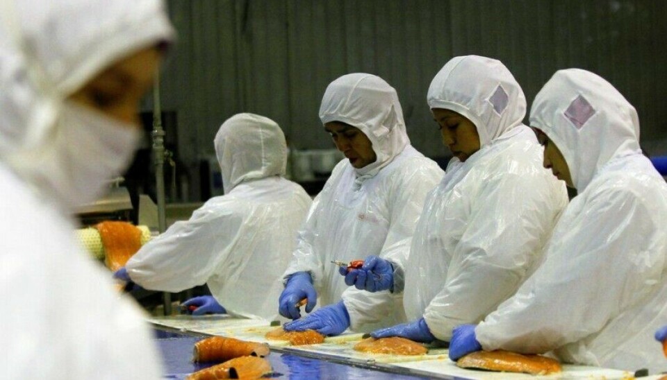 Las proyecciones de producción actualizadas para Salmones Camanchaca