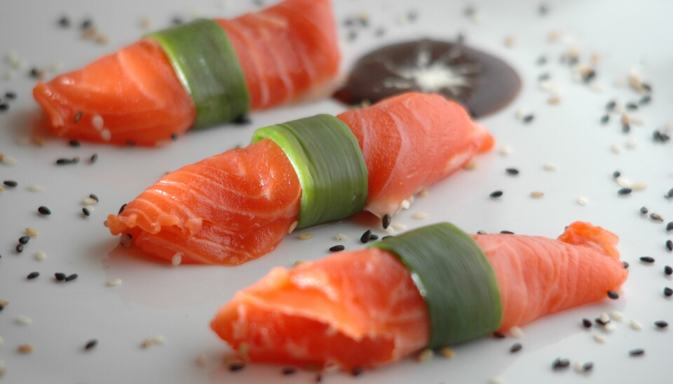 El salmón es un alimento nutritivo, bajo en calorías y con elevados niveles de ácidos grasos Omega 3 y Omega 6.