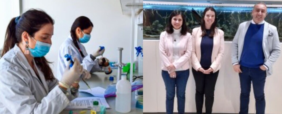 Dra. Débora Torrealba, Paula Valenzuela y Dr. José Gallardo. Dra. Débora Torrealba, Paula Valenzuela y Dr. José Gallardo.