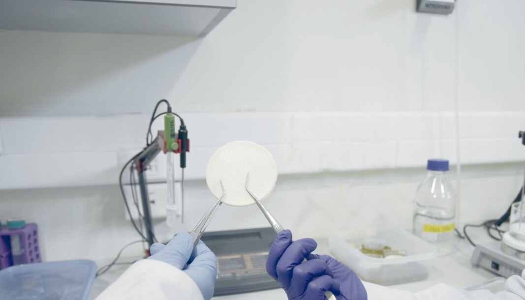 Muestra del biomaterial en base a componentes marinos para albergar cultivos celulares. Muestra del biomaterial en base a componentes marinos para albergar cultivos celulares.