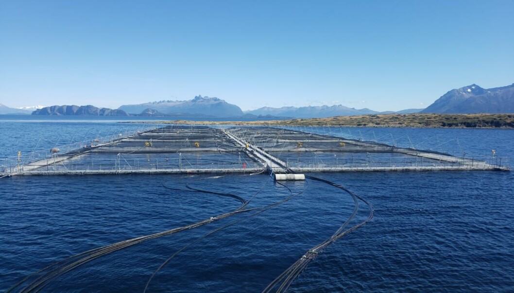 Centro de cultivo de Nova Austral. Centro de cultivo de Nova Austral.
