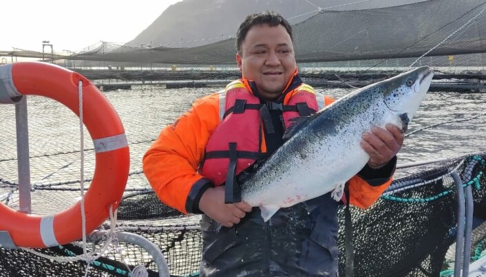 Nova Austral ha certificado el 100% de sus centros de cultivo con los estándares ASC y BAP. Nova Austral ha certificado el 100% de sus centros de cultivo con los estándares ASC y BAP.