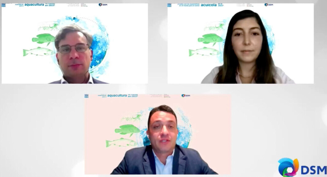 Gorjan Nikolik, Stephanie H. Hajaj y Thiago Soligo. Gorjan Nikolik, Stephanie H. Hajaj y Thiago Soligo.