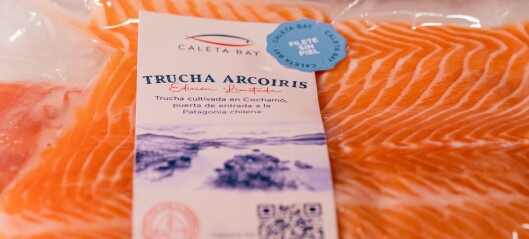 Productor de salmón chileno lanza su canal de e-commerce