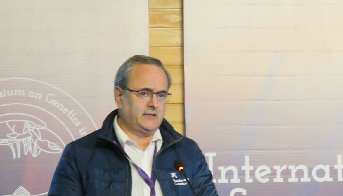 Jean Paul Lhorente, Technical and Breeding Manager de Benchmark Genetics Chile. Foto: Salmonexpert.