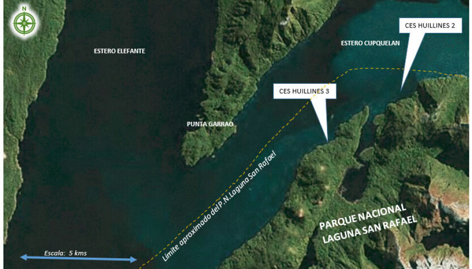 Mañana es un día clave para las siembras de Cooke Aquaculture Chile
