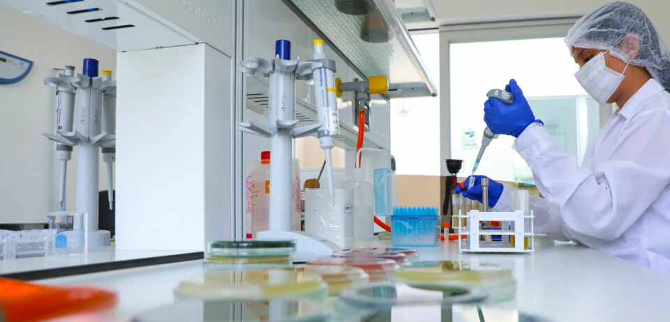 laboratorio, ciencia, PCR, investigación