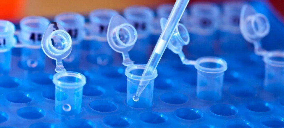 Revelan decidores resultados de 11 laboratorios que realizan detección de Piscirickettsia