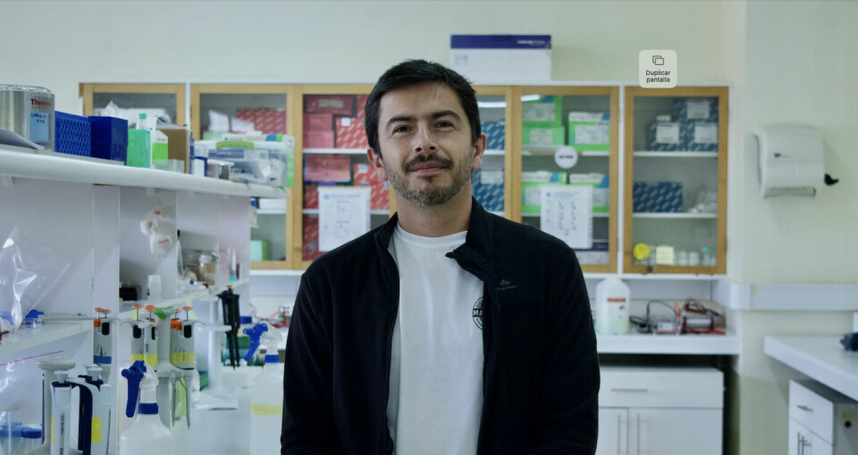 Dr. Nicolás Ojeda, Investigador Asociado del Laboratorio de Genética e Inmunología Mole-cular de la Pontifica Universidad Católica de Valparaíso (PUCV).