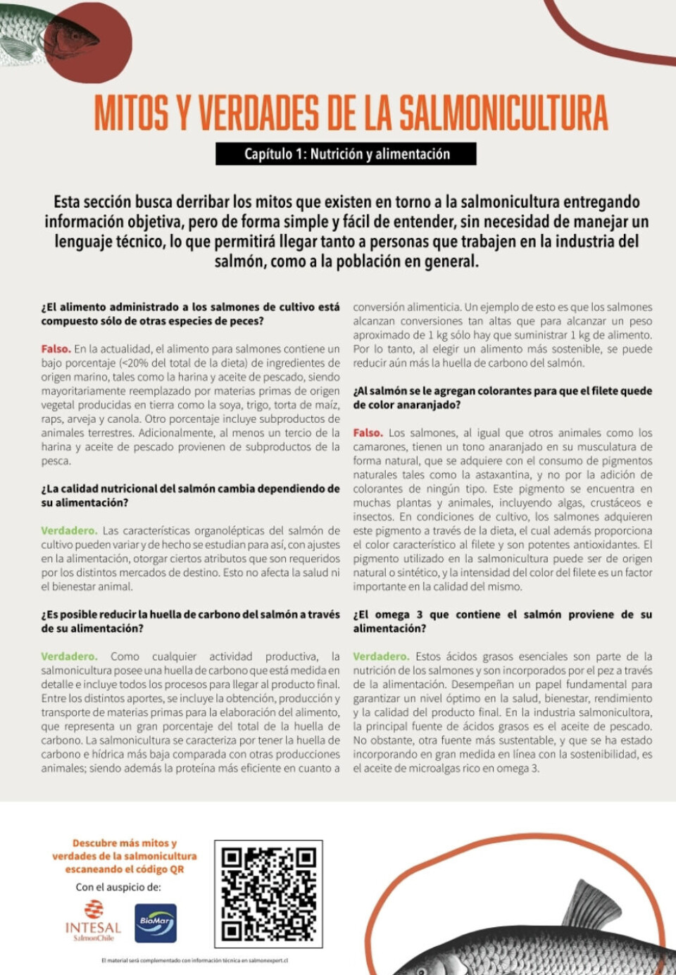 Nueva iniciativa busca educar y derribar mitos en torno a la salmonicultura