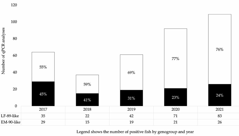 Tasa de positividad comparativa para ambos genogrupos de P. salmonis entre 2017 y 2021 (n = 363). Resultados del estudio retrospectivo.