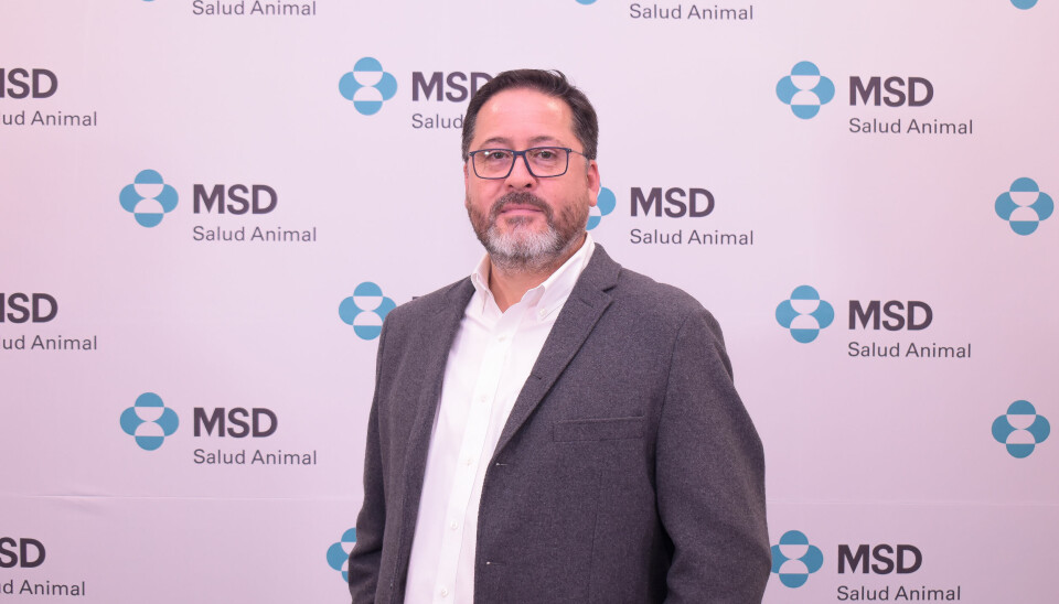 Director de la Unidad de Acuicultura de MSD Salud Animal Región Sur, Oscar Parra.