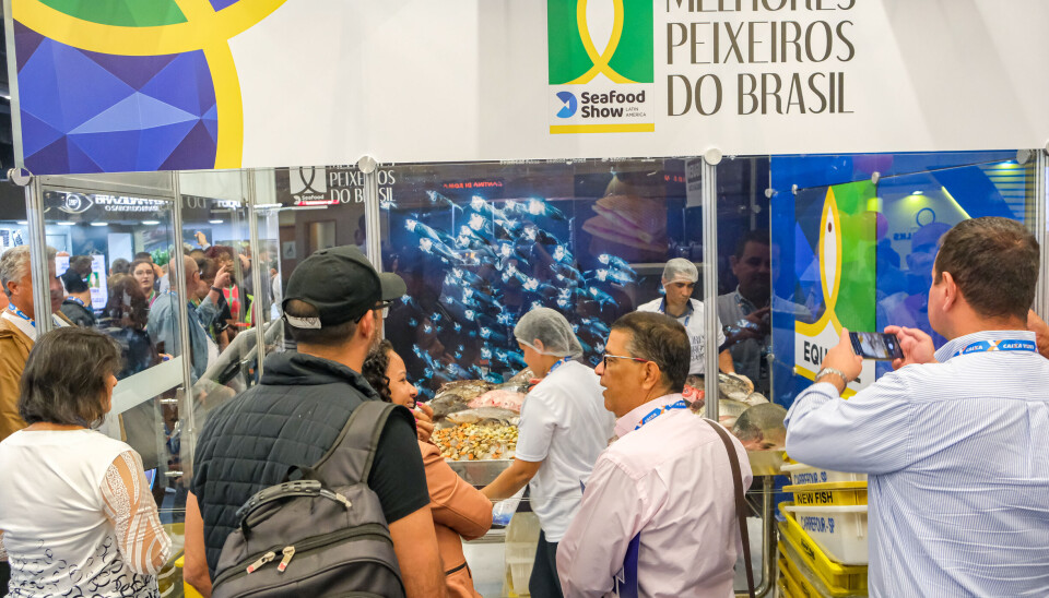Foto: Seafood Show Latin America. Foto: Seafood Show Latin America.