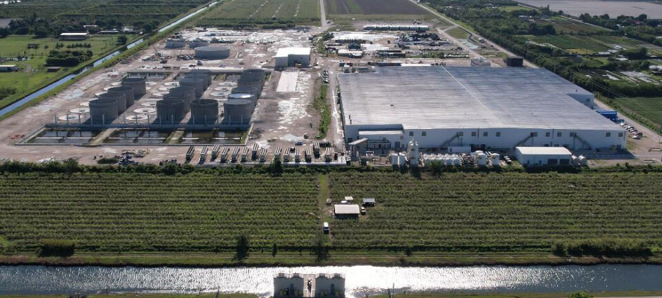 Atlantic Sapphire sigue desplomándose en bolsa