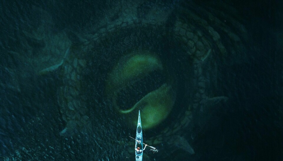 Teaser de la próxima película. ¿Qué ves debajo de la superficie?