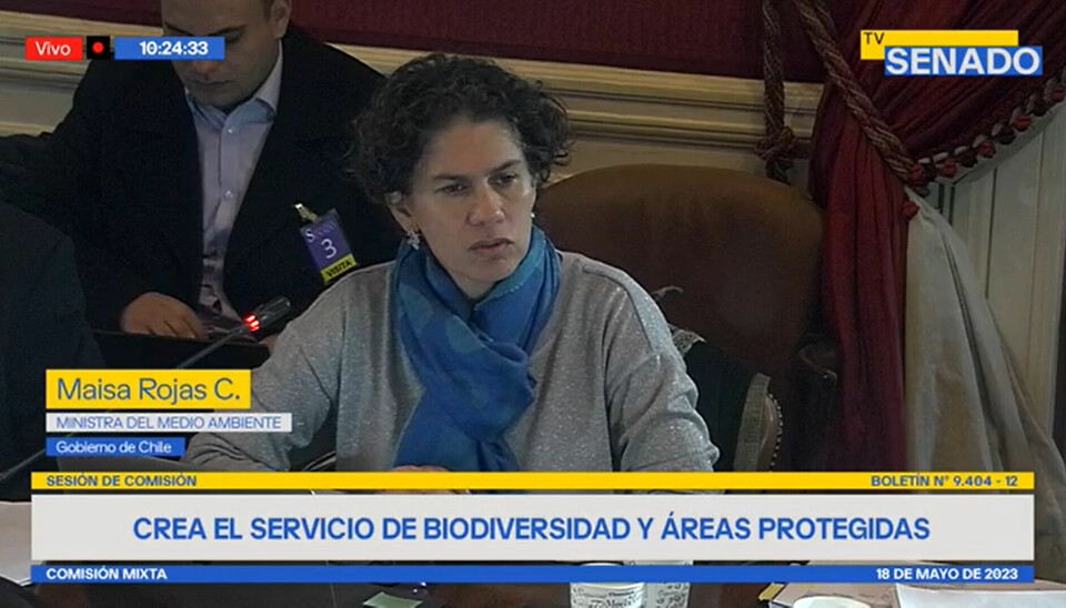 Ministra del Medio Ambiente, Maisa Rojas, en Comisión Mixta ayer.