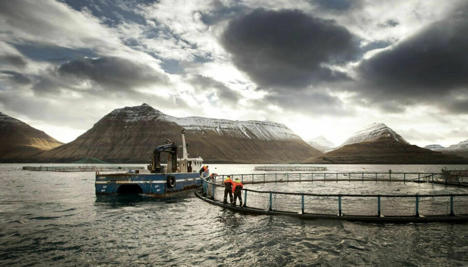 Un centro de cultivo de salmón de Bakkafrost en las Islas Feroe. La empresa se enfrenta a pagar más impuestos si los precios se mantienen altos.