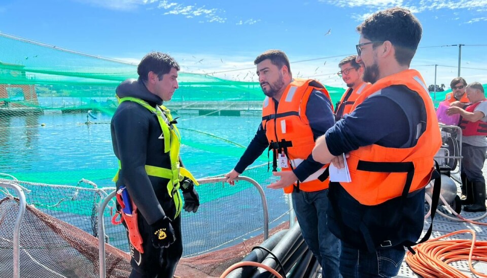 Foto: Dirección del Trabajo.