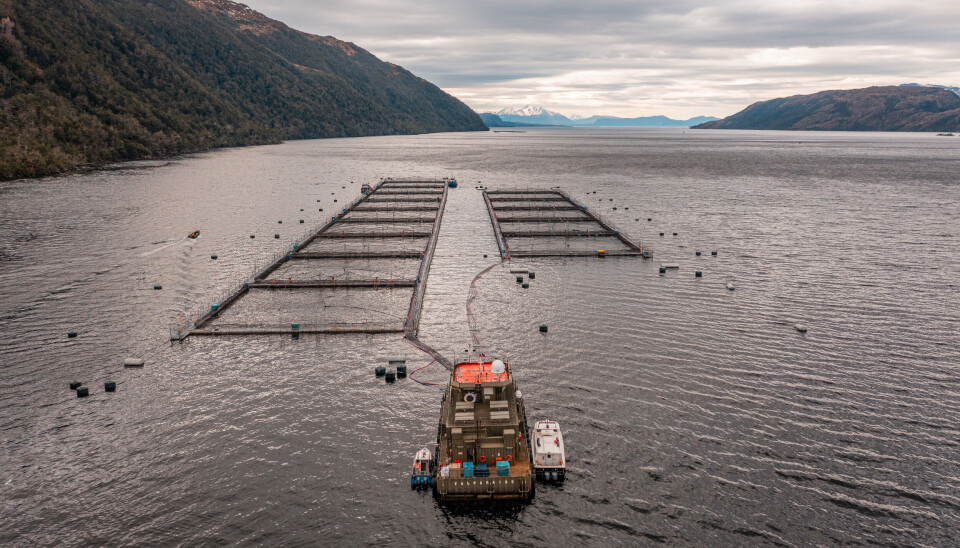 Las 33 principales indicaciones de proyecto que influirá en las concesiones de salmón
