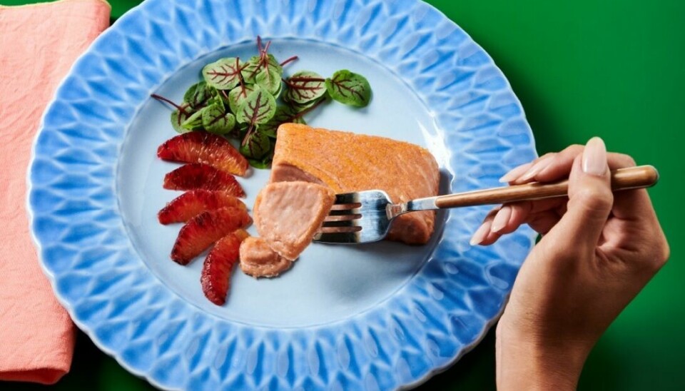 Oshi utiliza la impresión 3D para darle a su salmón alternativo una estructura fibrosa que se desmenuza como un pez real.
