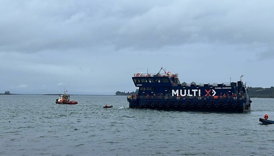 Foto: Multi X.