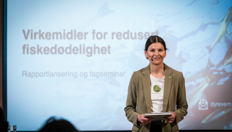 La gerente de comunicaciones de Animal Protection Alliance, Live Kleveland, durante el lanzamiento del informe 'Medidas para reducir la mortalidad de peces en la industria acuícola noruega', escrito por Menon Economics y Nofima.