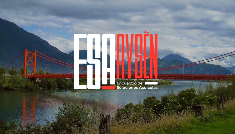 ESA Aysén.