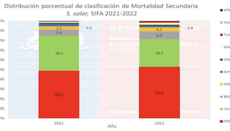 Distribución porcentual de clasificación de mortalidad secundaria en mar de salmón Altántico.