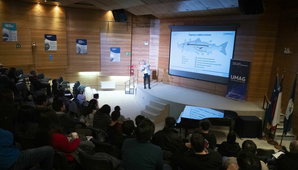 La primera de una seria de charlas y actividades sobre el Caligus efectuó la Universidad de Magallanes con estudiantes, académicos y representantes de empresas salmonicultoras.