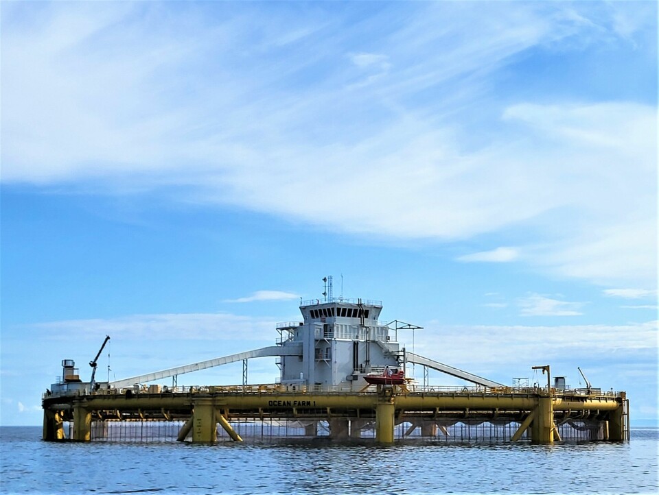 Ocean Farm 1 se construyó en base a la tecnología y conocimiento que Noruega ha adquirido en el ámbito del petróleo y el gas en alta mar. La jaula pesa 7.000 toneladas. Imagen